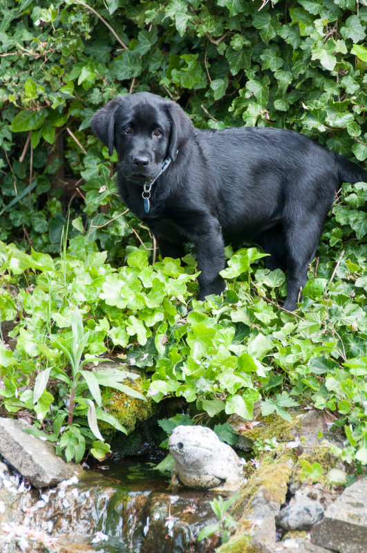 DSC_2478.jpg
