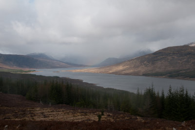 DSC_4254.jpg