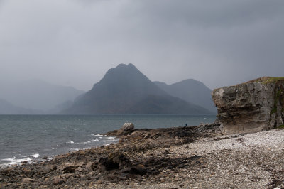 DSC_4350.jpg