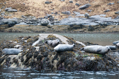 DSC_4459.jpg