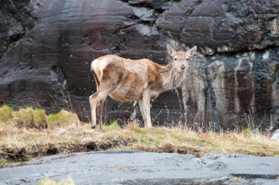 DSC_4478.jpg