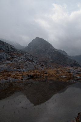 DSC_4511.jpg