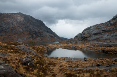 DSC_4525.jpg
