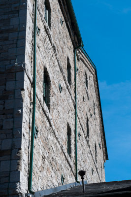 DSC_5874.jpg