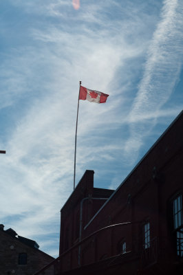 DSC_5907.jpg