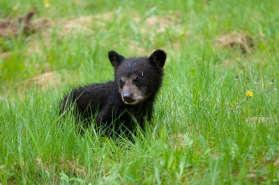 DSC_7879.jpg