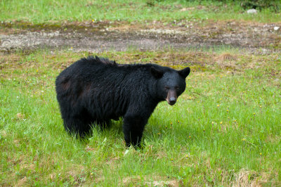 DSC_7898.jpg