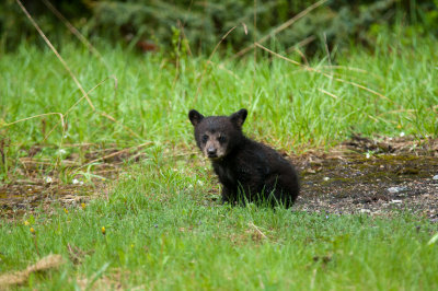 DSC_7949.jpg
