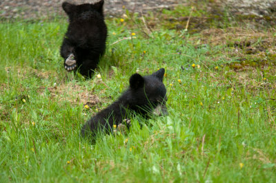 DSC_7955.jpg