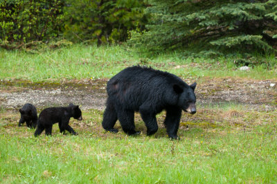 DSC_7964.jpg