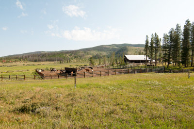 DSC_4050.jpg