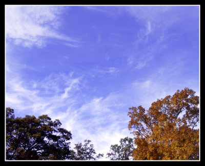 A Fall Day to Enjoy