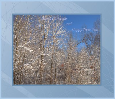 Xmas greeting 2011