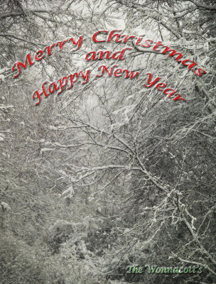 Xmas greeting 2013