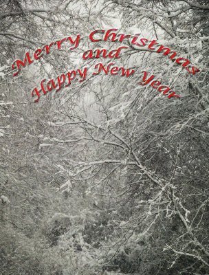 Xmas greeting 2013