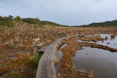 Tongariro National Park & Mt Ruapehu