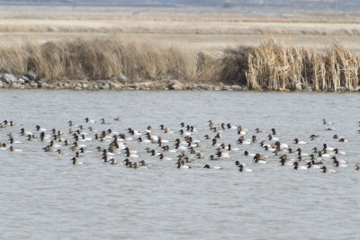 Klamath 2014-189.JPG
