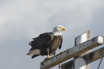 Klamath 2014-585.JPG