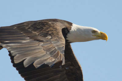 Klamath 2014-594-2.JPG