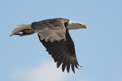 Klamath 2014-594.JPG