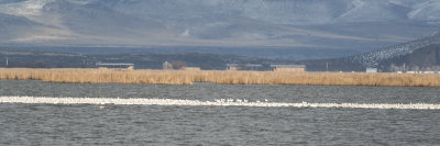 Klamath 2014-663.JPG