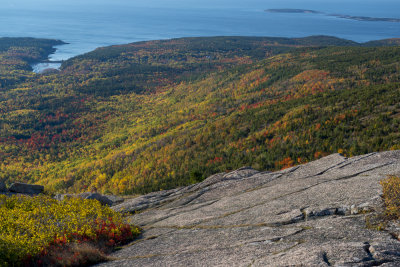 Fall 2014 -33-3.JPG