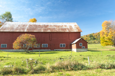 Fall 2014 -334-2.JPG