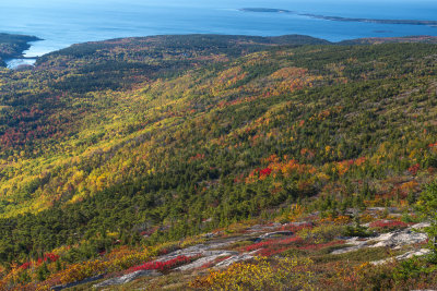 Fall 2014 -37-3.JPG