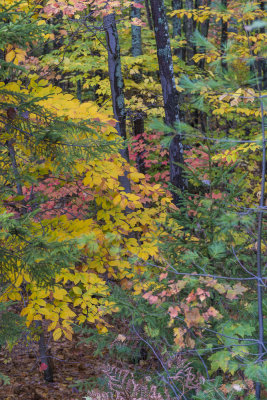 Fall 2014 -439.JPG