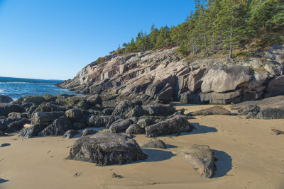 Fall 2014 -466.JPG