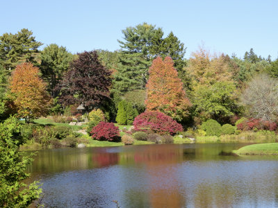 Fall 2014 -921.JPG