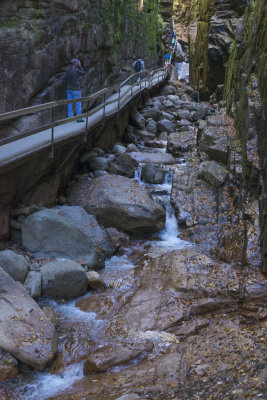 Fall 2014 -133.JPG