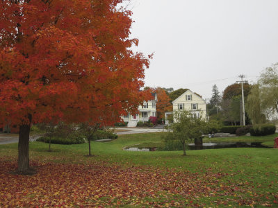 Fall 2014 -1349.JPG