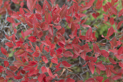 Fall 2014 -170-3.JPG