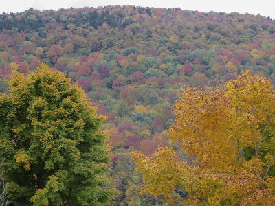 Fall 2014 -388.JPG