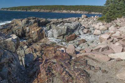 Fall 2014 -537.JPG