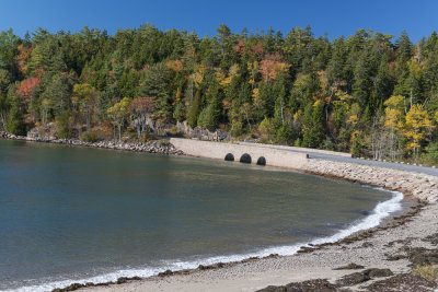 Fall 2014 -542.JPG