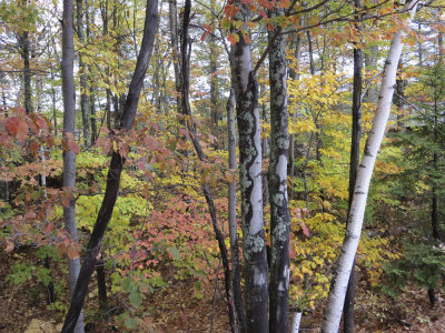 Fall 2014 -743.JPG
