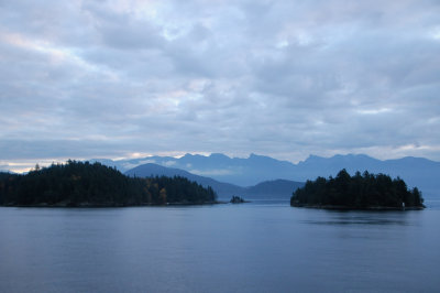 00391.jpg