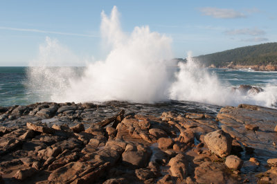 Bren Salt Point Dec 2012-347.jpg