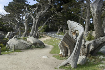 Carmel07B 0327_.jpg