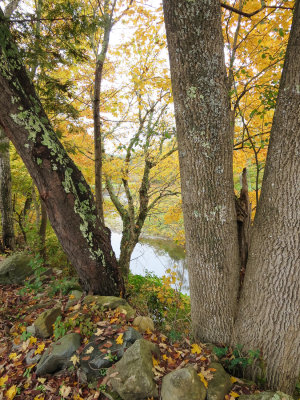 Fall 2014 -360.jpg