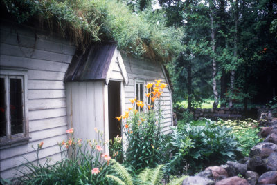Oslo grass roof correct.jpg