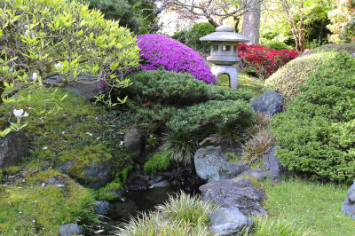 SF Tea Garden025 copy.jpg