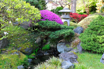 SF Tea Garden025.jpg