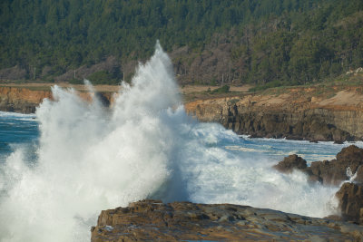 Salt Point Dec 2012-67-2.jpg
