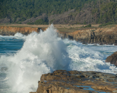 Salt Point Dec 2012-69-2.jpg