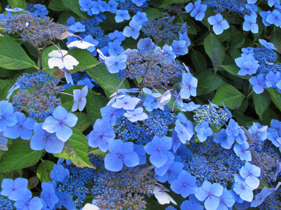Seattle 2012-38-3.jpg
