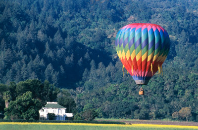 napa balloon 11.75X7.75 Feb 1 03.jpg