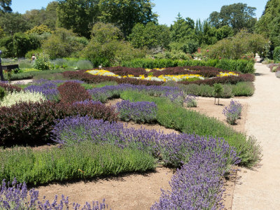 Filoli -84.jpg